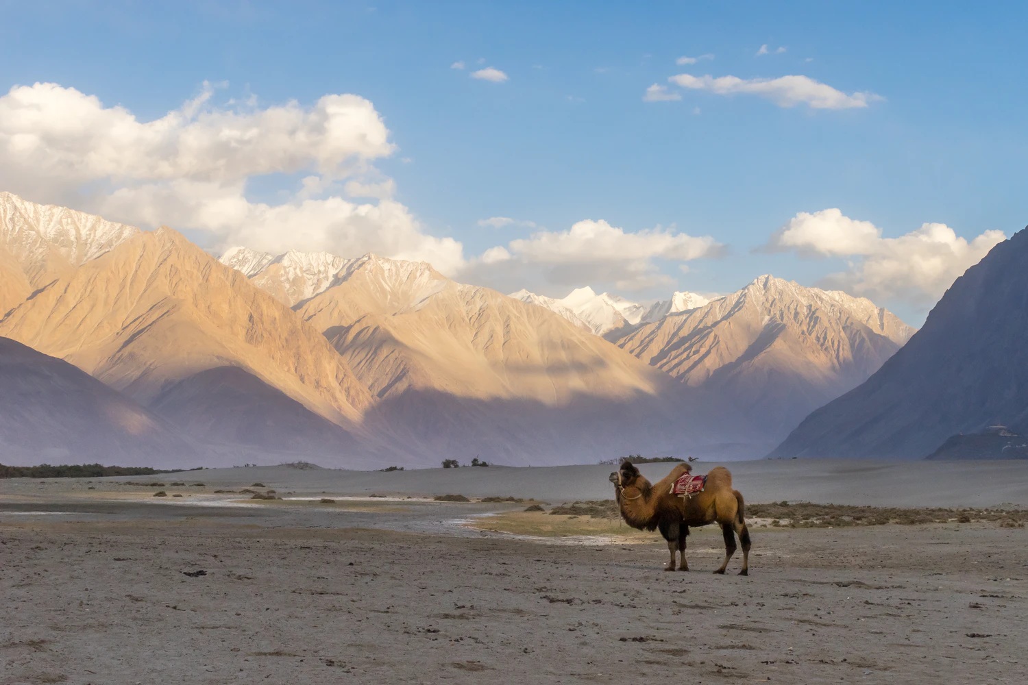 Nubra Valley Ladakh