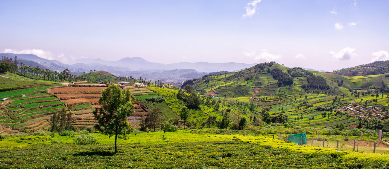 Coonoor Hill Station in Tamil Nadu