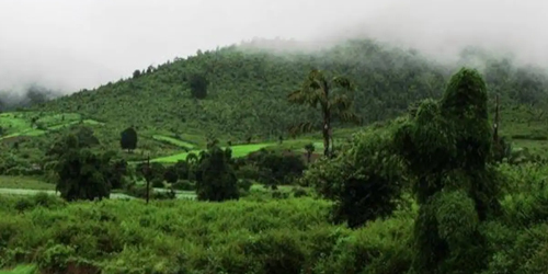 Daringbadi Hill Station Odisha