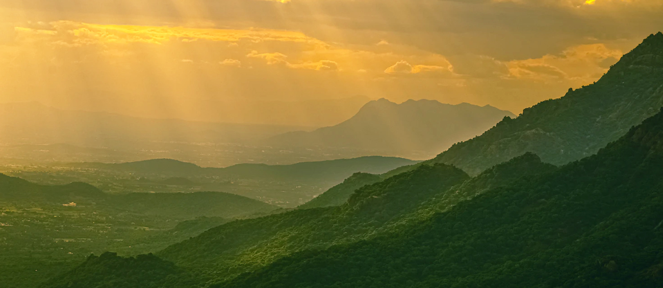 Kolli Hills Tamil Nadu