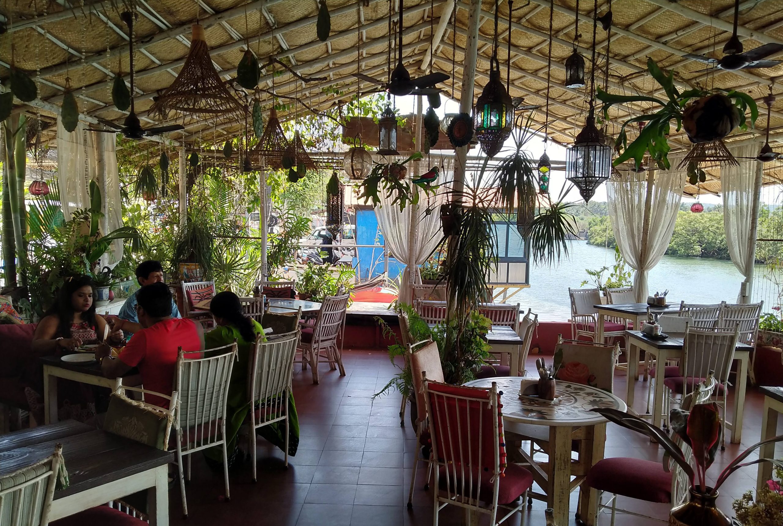 Raddish Bar and restaurant, Baga beach, north goa