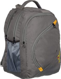 Grey Casual Travel Backpack