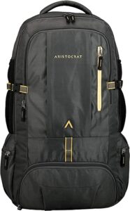 Aristocrat 45 Ltrs Grey Rucksack