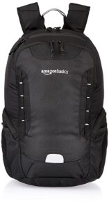 AmazonBasics Backpack