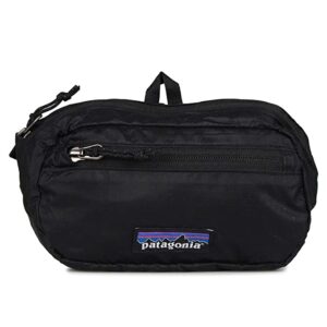 best travel patagonia backpack