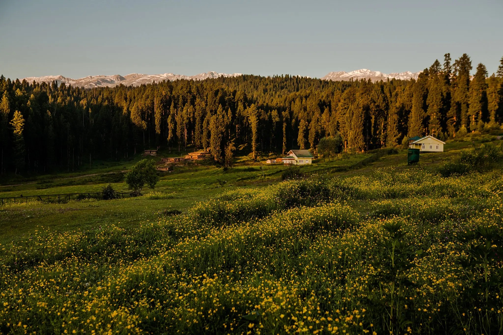 Yusmarg Kashmir