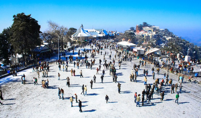prospect hill travel guide to shimla travel guide
