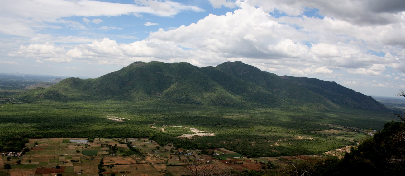Javadi Hills Tamil Nadu