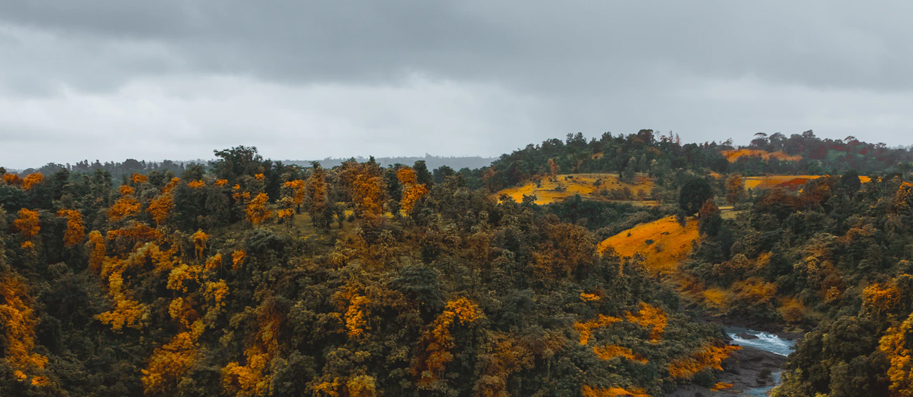 Jawhar Hill Station