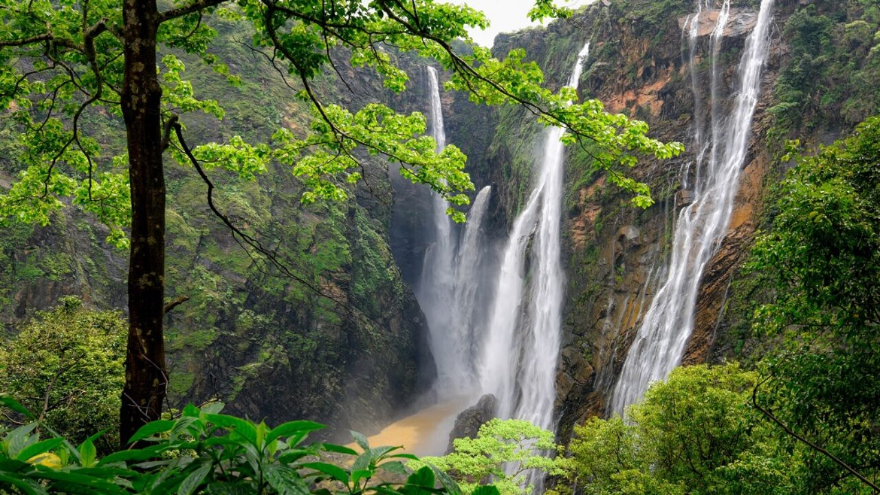 Jog Waterfalls in Karnataka Image