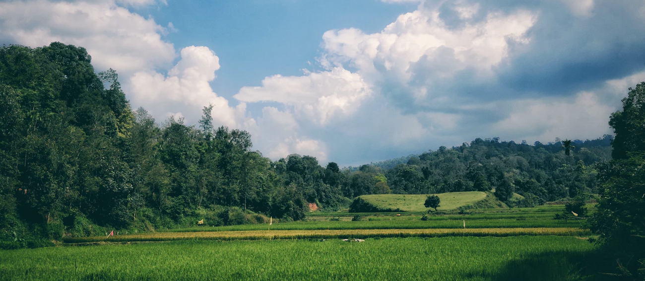 Coorg Hill Station in Karnataka