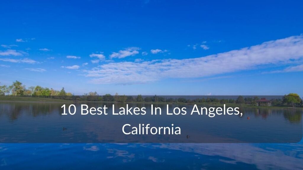 Best Lakes In Los Angeles