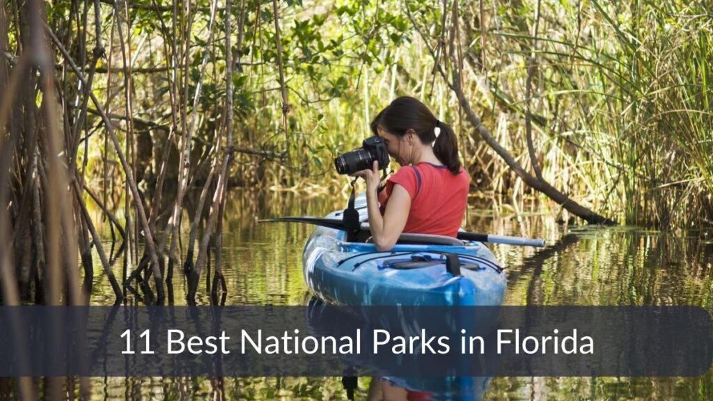 Best National Parks in Florida