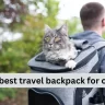 10 best travel backpack for cats