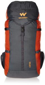 Best quality Backpack for travelling