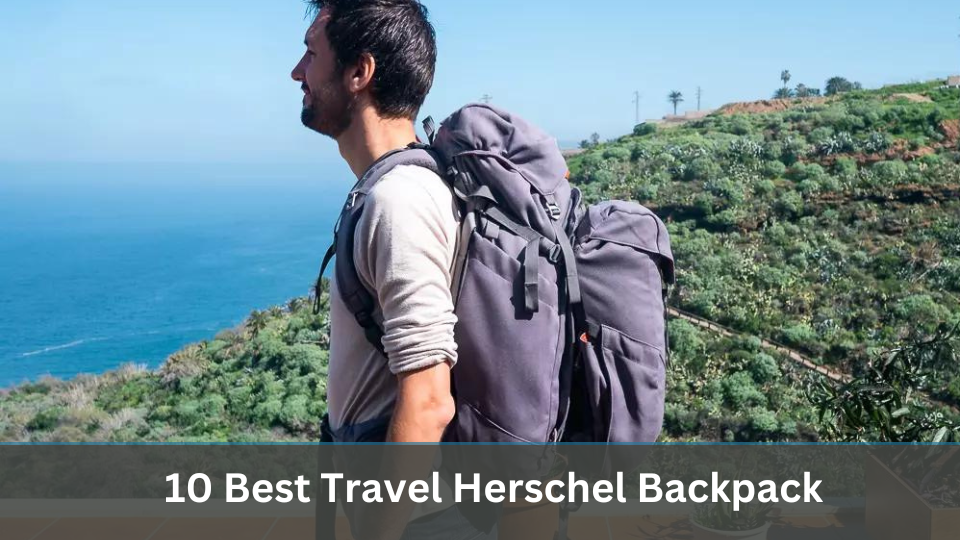 10 Best Travel Herschel Backpack for Travellers